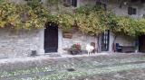 Foto inserita il  2019-11-05 da testapelata sulla recensione a Agriturismo Casa Gianino